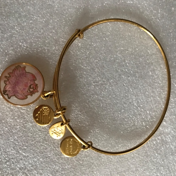 Alex and Ani Expandable Wire Bracelet - Picture 10 of 12